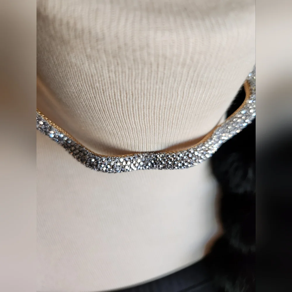 Skinny Collar With Crystals & Goldtone Hardware Statement Necklace - Picture 3 of 14